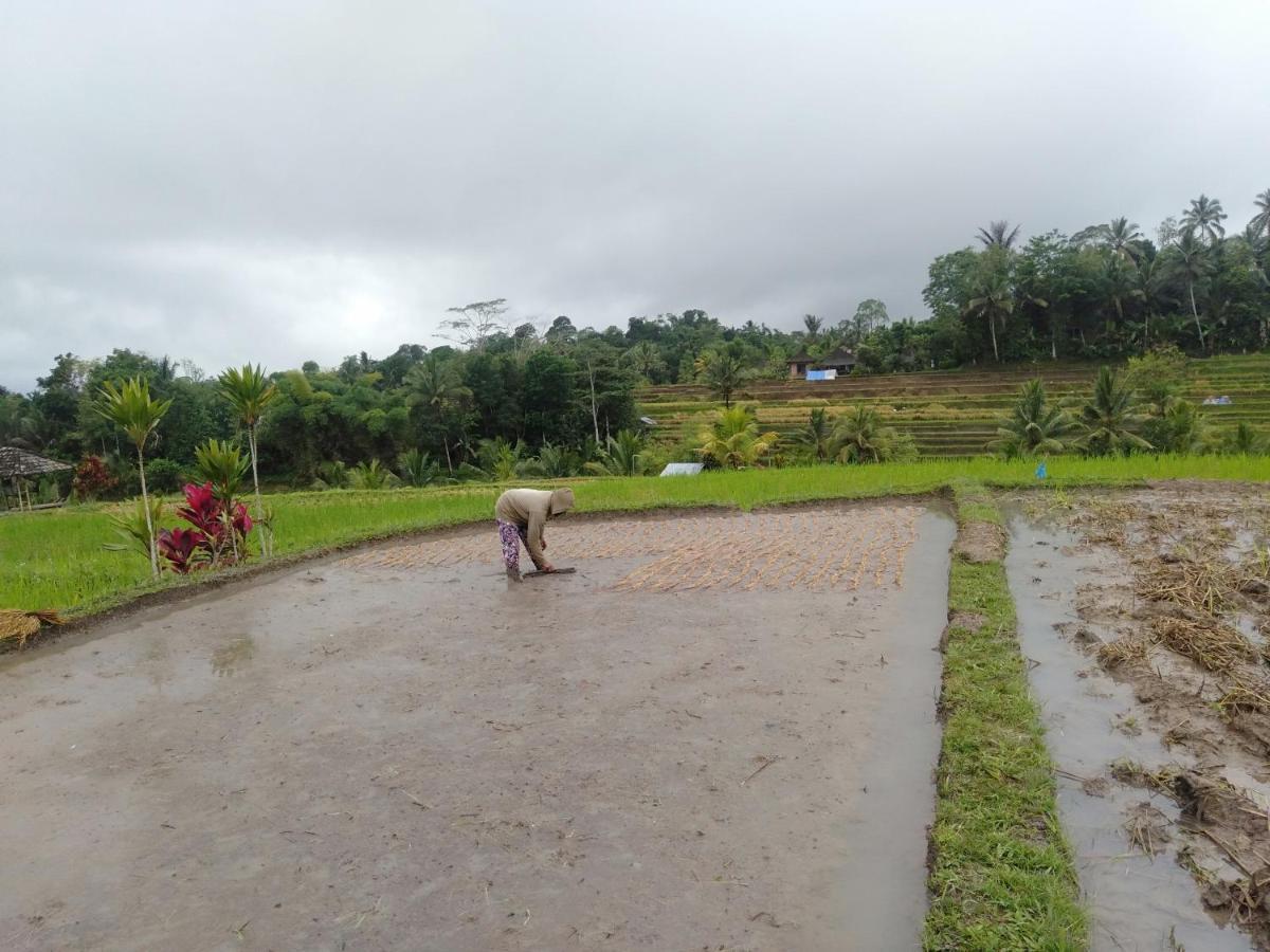 D'Ume Bendoel Homestay จาตีลูวีห์ ภายนอก รูปภาพ