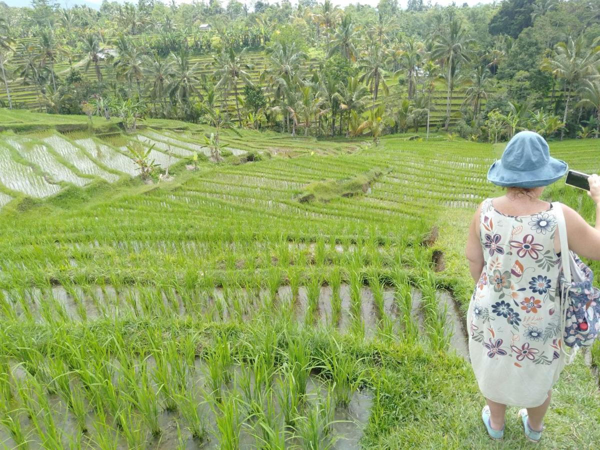 D'Ume Bendoel Homestay จาตีลูวีห์ ภายนอก รูปภาพ