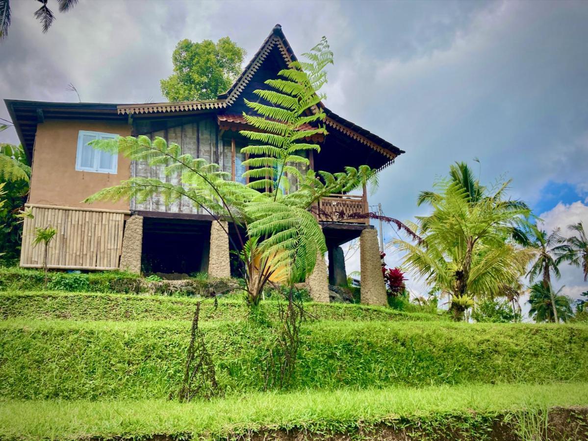D'Ume Bendoel Homestay จาตีลูวีห์ ภายนอก รูปภาพ