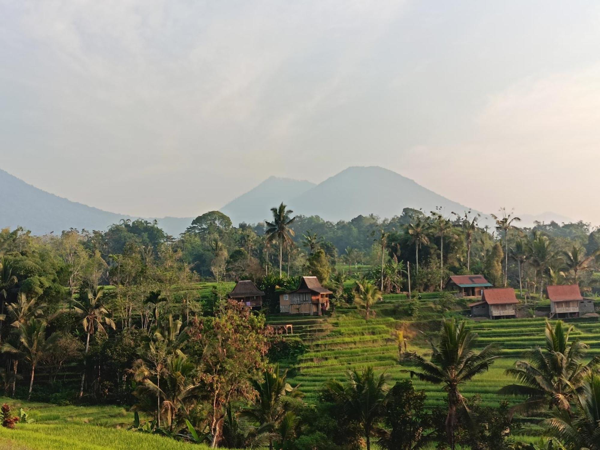 D'Ume Bendoel Homestay จาตีลูวีห์ ภายนอก รูปภาพ