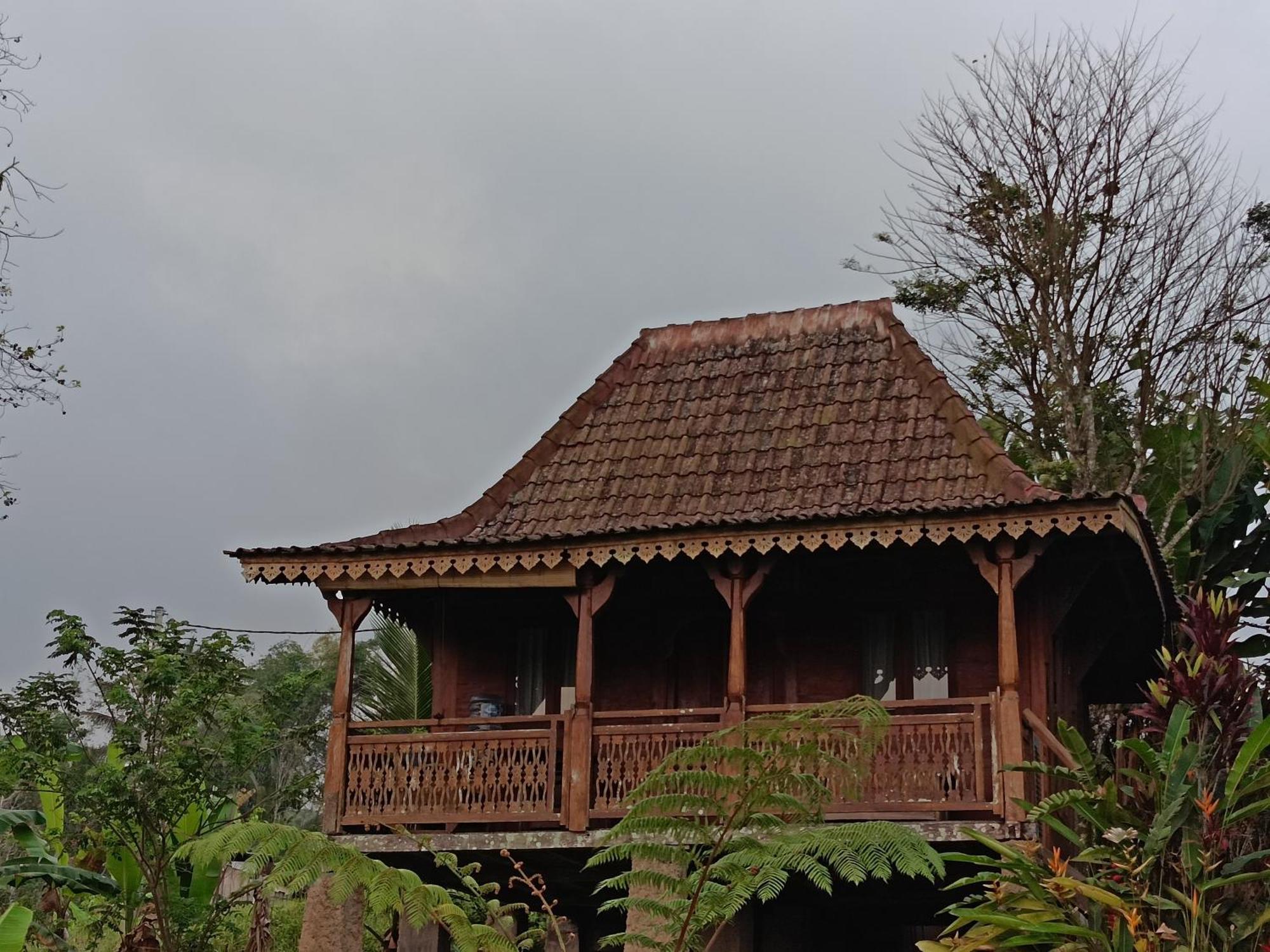 D'Ume Bendoel Homestay จาตีลูวีห์ ภายนอก รูปภาพ