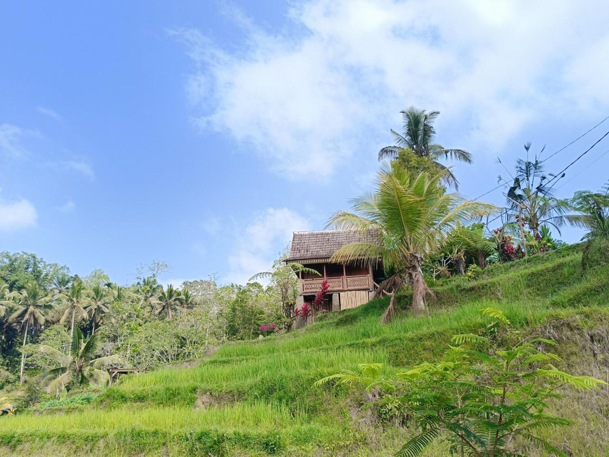 D'Ume Bendoel Homestay จาตีลูวีห์ ภายนอก รูปภาพ