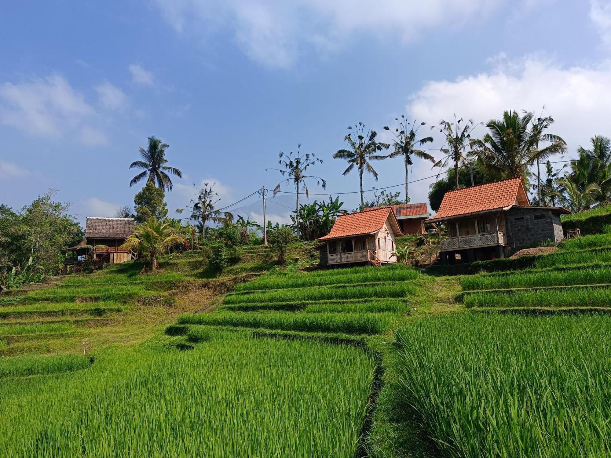 D'Ume Bendoel Homestay จาตีลูวีห์ ภายนอก รูปภาพ