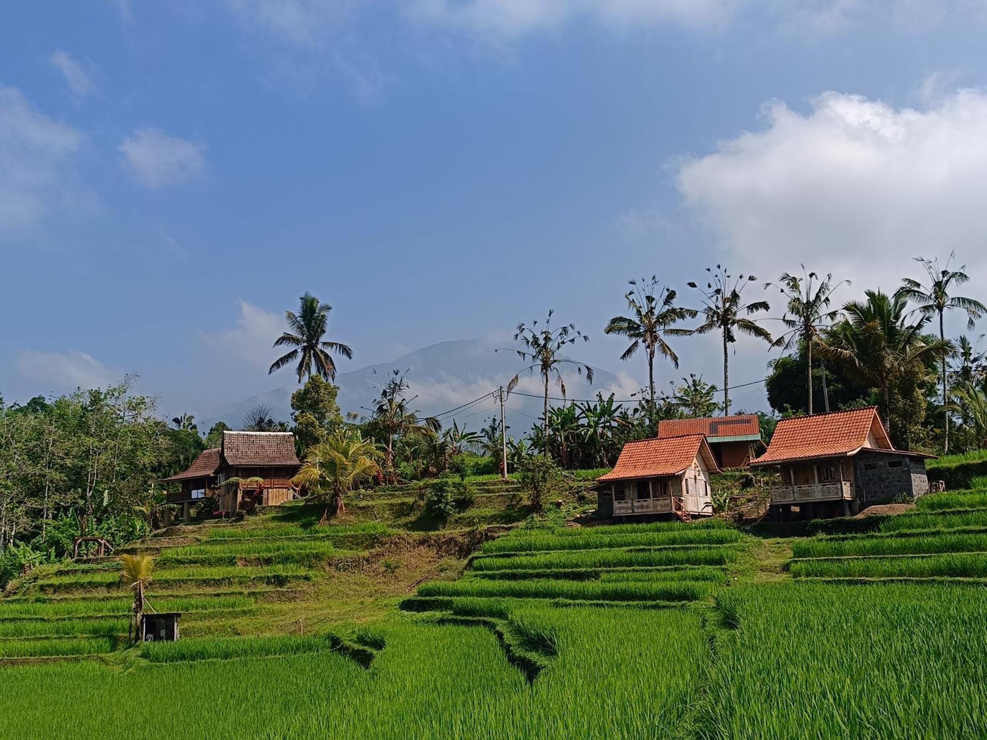D'Ume Bendoel Homestay จาตีลูวีห์ ภายนอก รูปภาพ