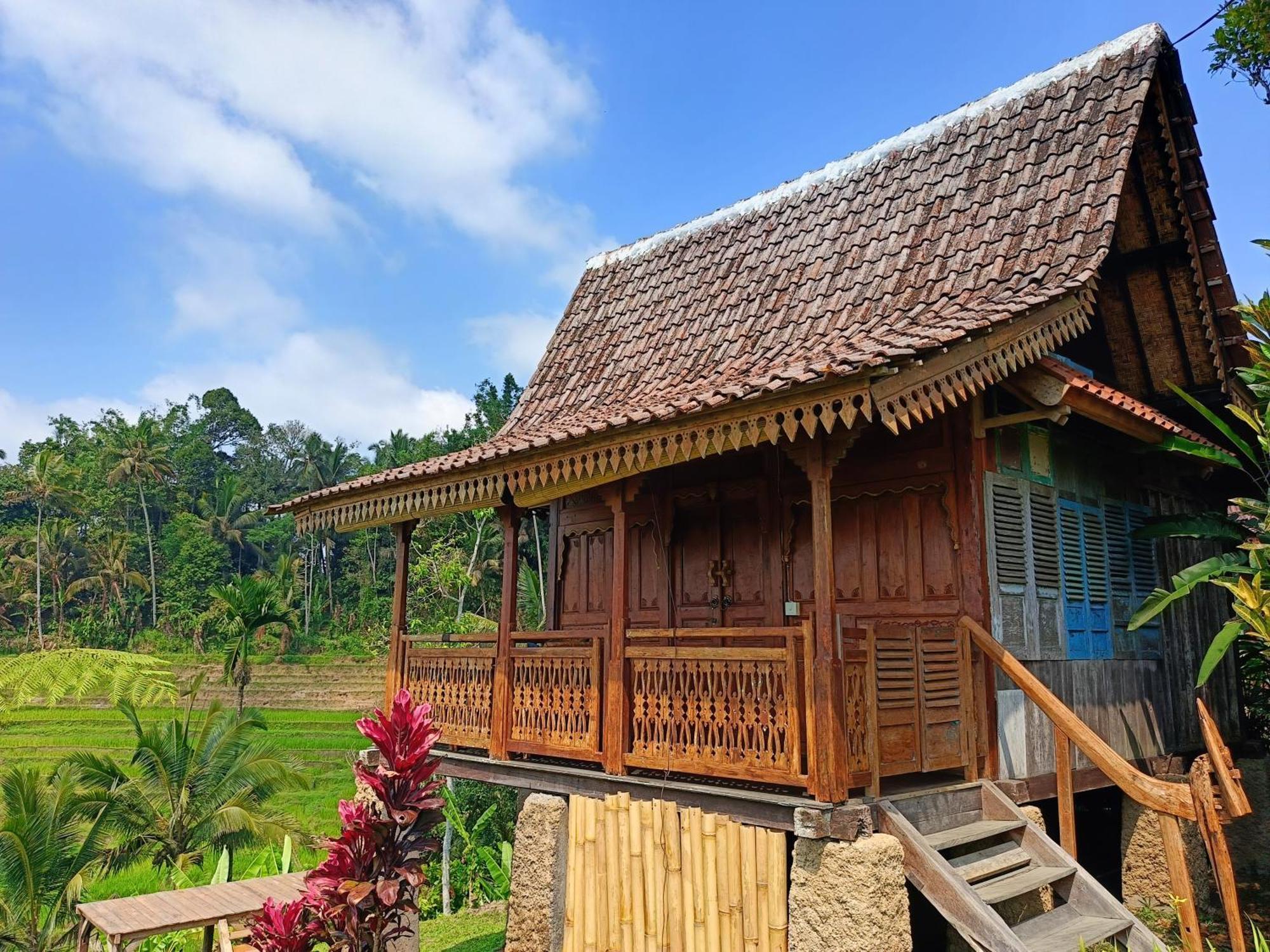 D'Ume Bendoel Homestay จาตีลูวีห์ ภายนอก รูปภาพ