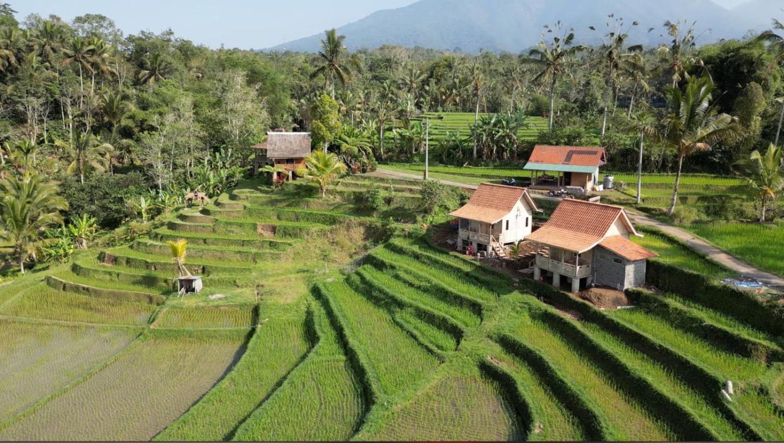 D'Ume Bendoel Homestay จาตีลูวีห์ ภายนอก รูปภาพ