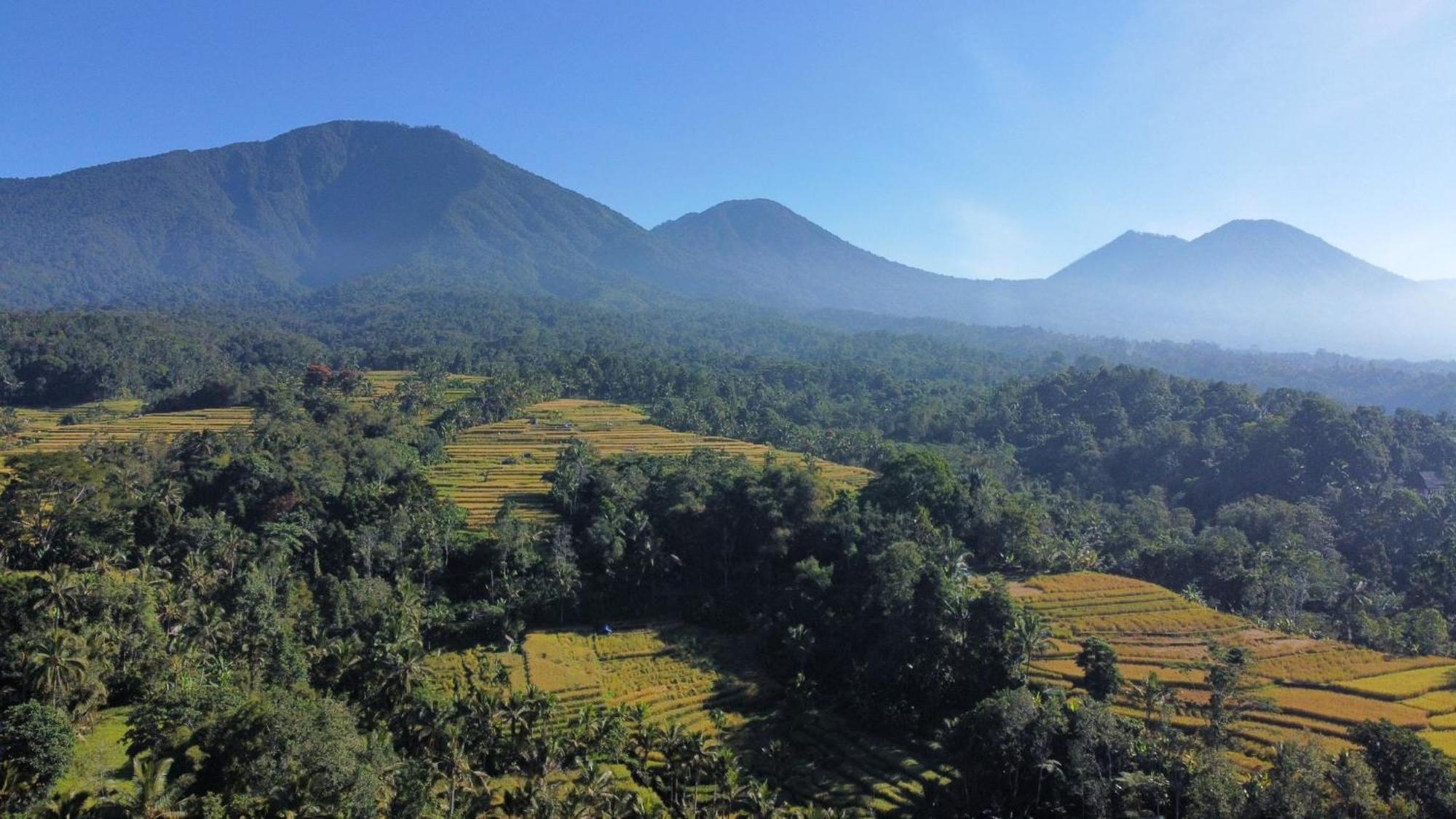 D'Ume Bendoel Homestay จาตีลูวีห์ ห้อง รูปภาพ