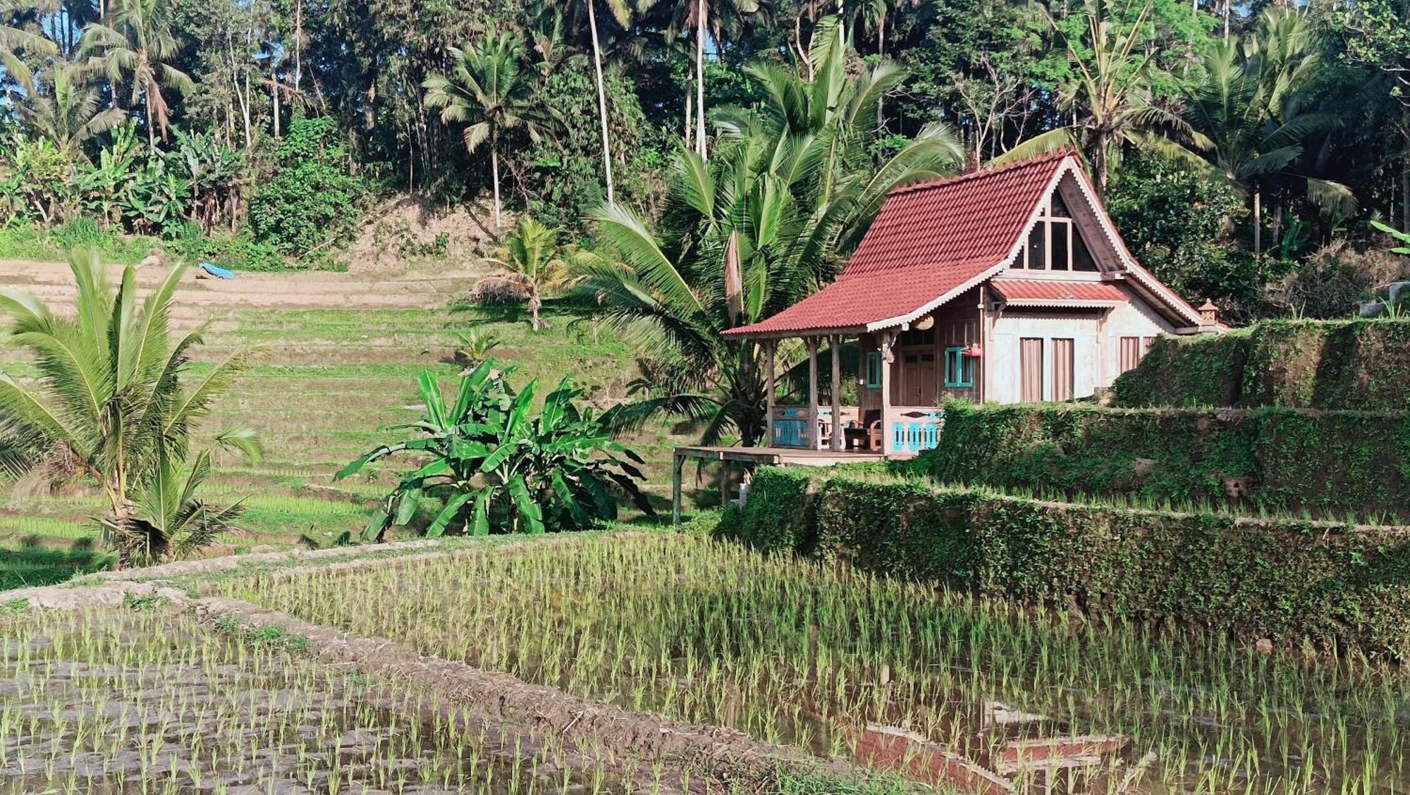 D'Ume Bendoel Homestay จาตีลูวีห์ ห้อง รูปภาพ
