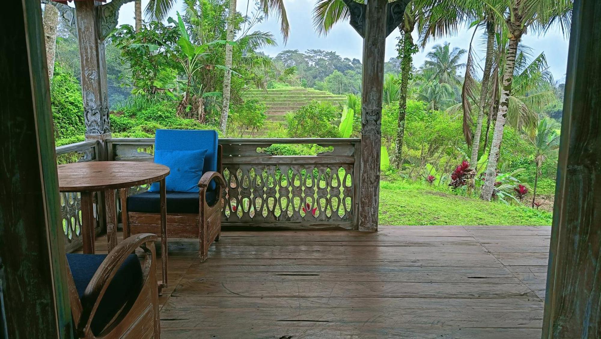 D'Ume Bendoel Homestay จาตีลูวีห์ ภายนอก รูปภาพ