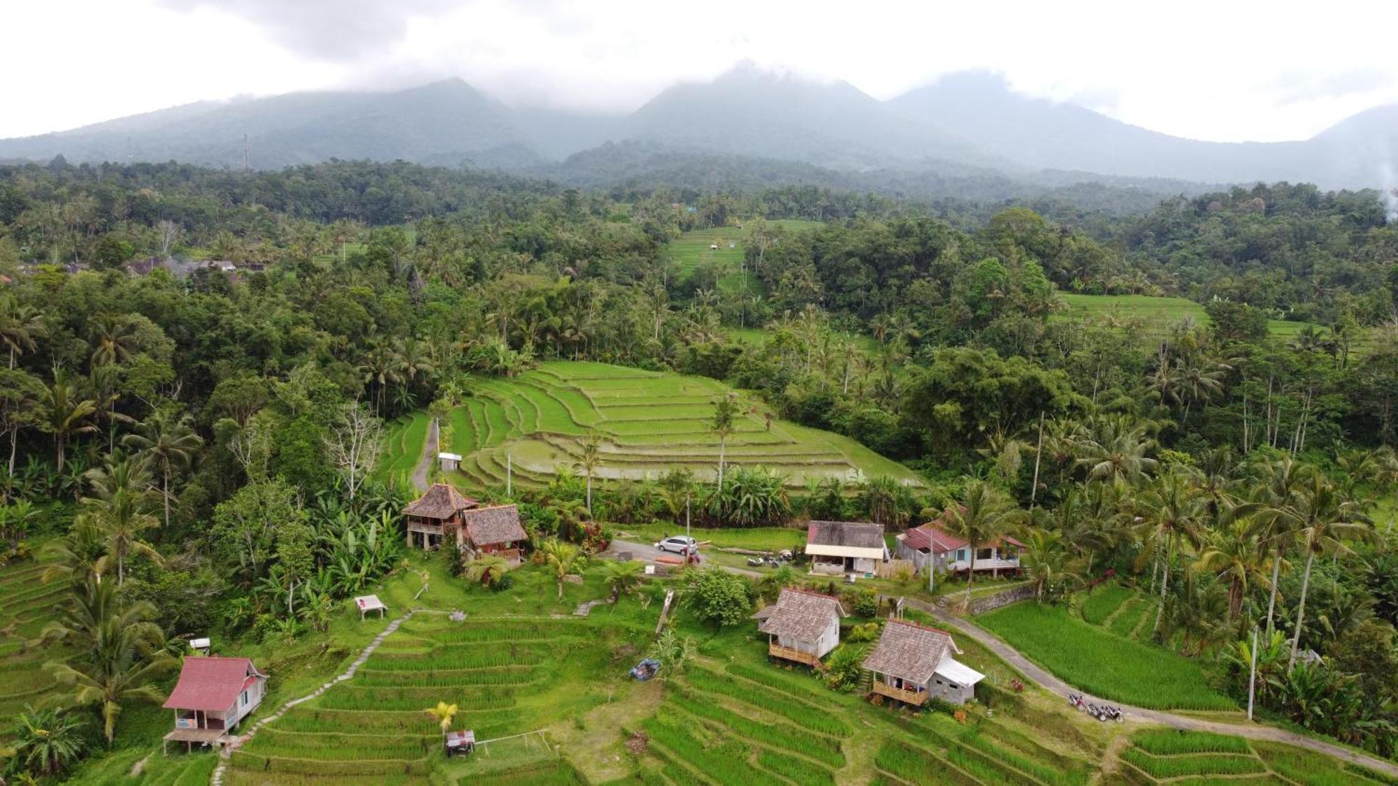 D'Ume Bendoel Homestay จาตีลูวีห์ ห้อง รูปภาพ